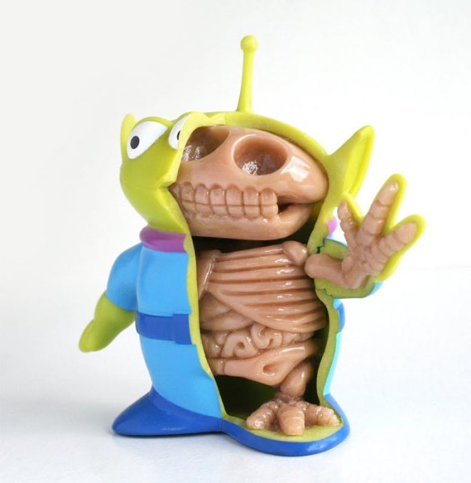 Anatomy Toys (30 pics)