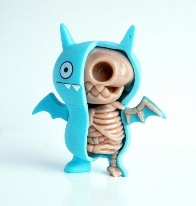 Anatomy Toys (30 pics)