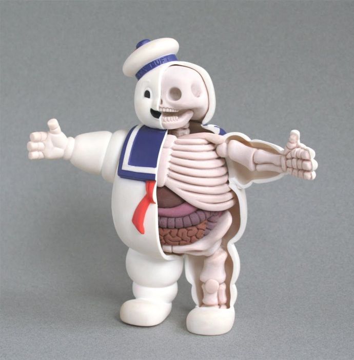 Anatomy Toys (30 pics)