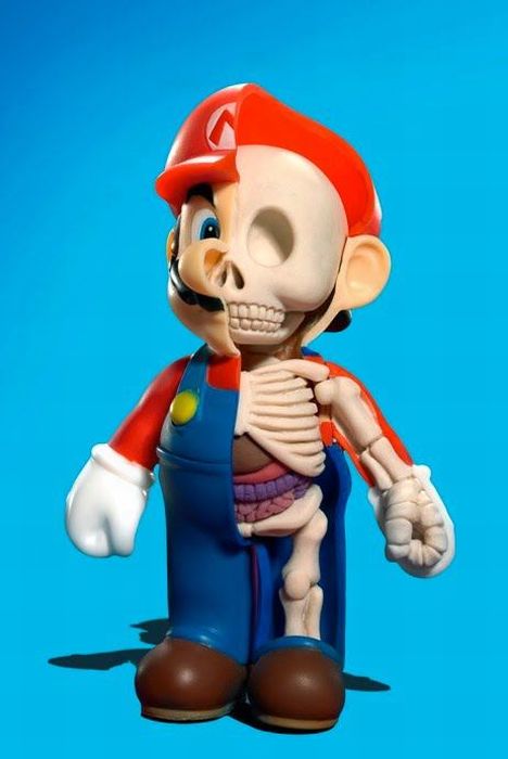 Anatomy Toys (30 pics)