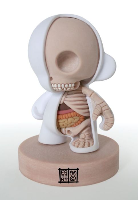 Anatomy Toys (30 pics)