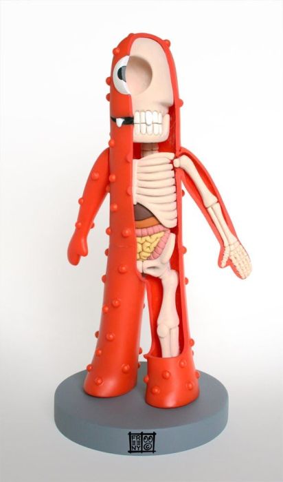 Anatomy Toys (30 pics)