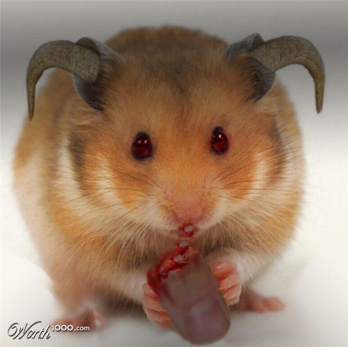 Scary Photoshop Made Animals (51 pics)