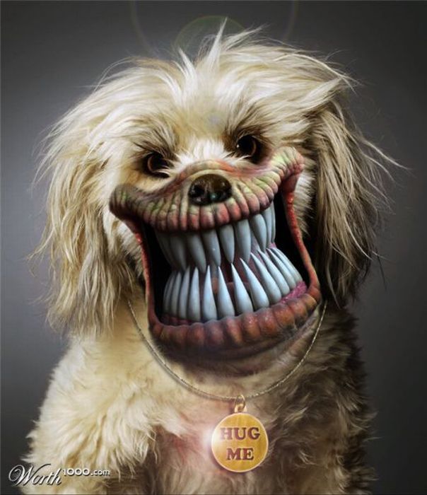 Scary Photoshop Made Animals (51 pics)