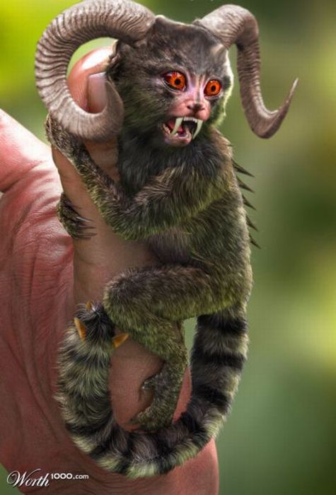 Scary Photoshop Made Animals (51 pics)