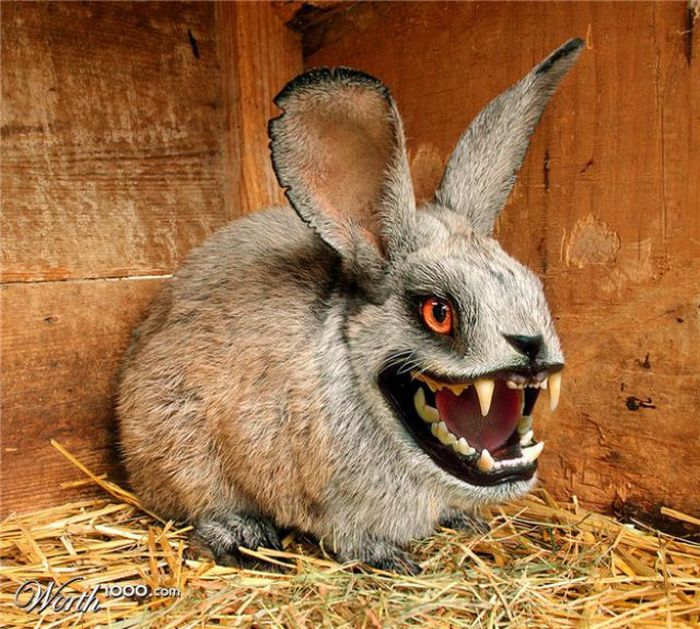 Scary Photoshop Made Animals (51 pics)