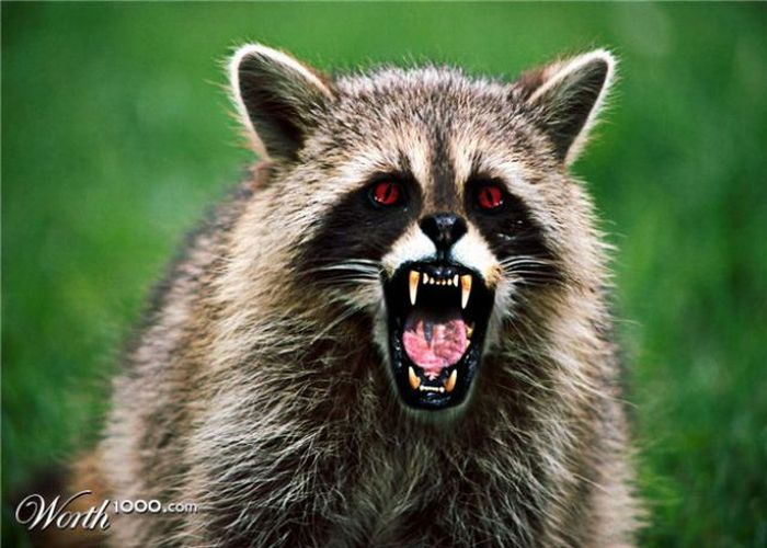 Scary Photoshop Made Animals (51 pics)