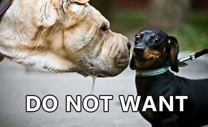 Do Not Want (30 pics)