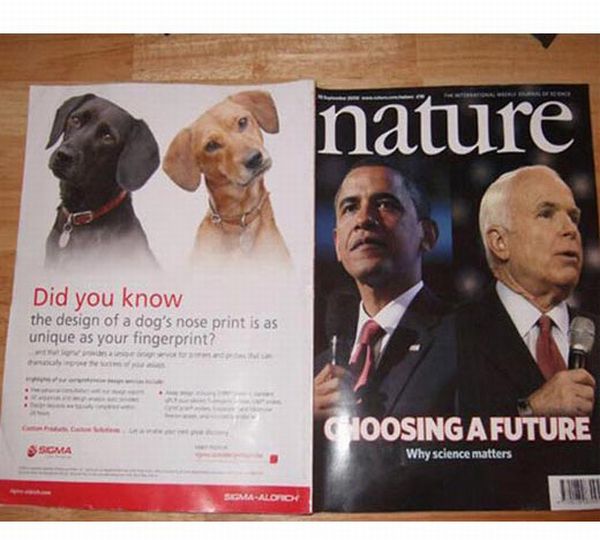 Unfortunately Placed Ads (41 pics)
