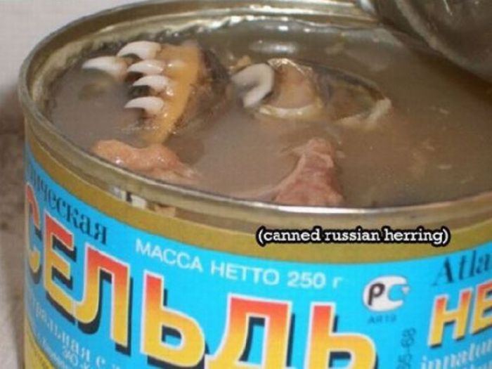 WTF Canned Food (22 pics)