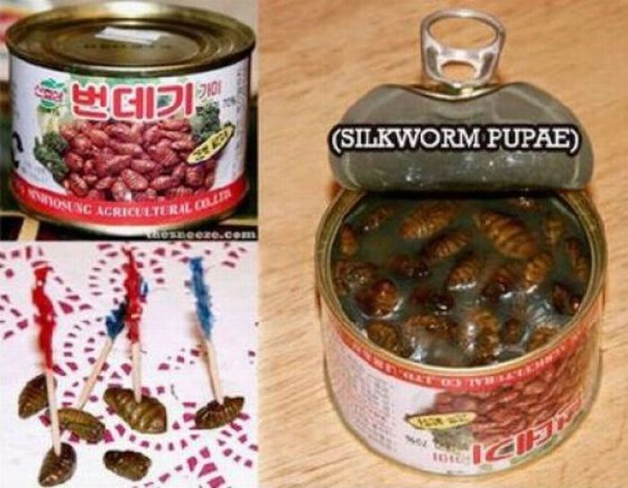 WTF Canned Food (22 pics)