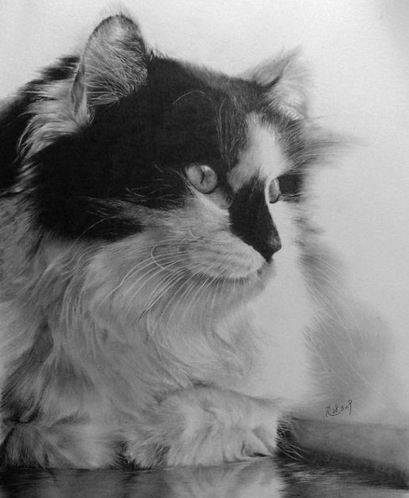 Pencil Drawings by Paul Lung (27 pics)