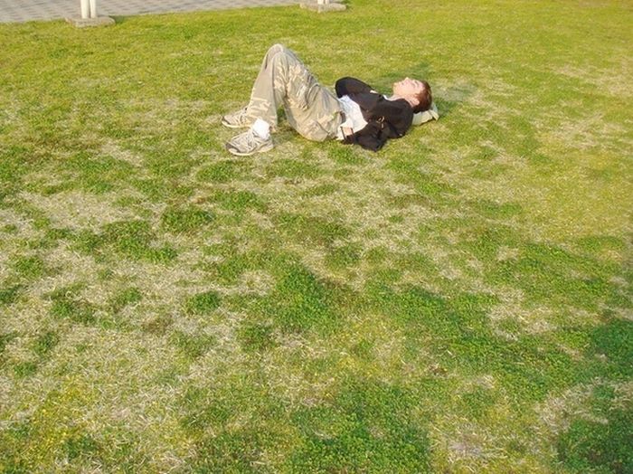 Best Places To Fall Asleep At College (15 pics) Best Places To Fall Asleep At College (15 pics)