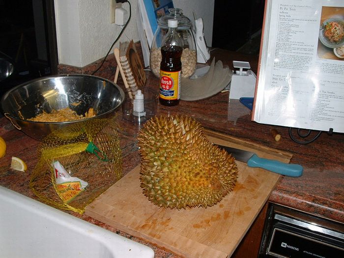Exotic Animal Inside an Exotic Fruit (4 pics)