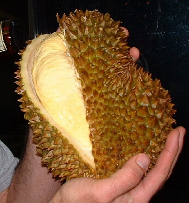 Exotic Animal Inside an Exotic Fruit (4 pics)