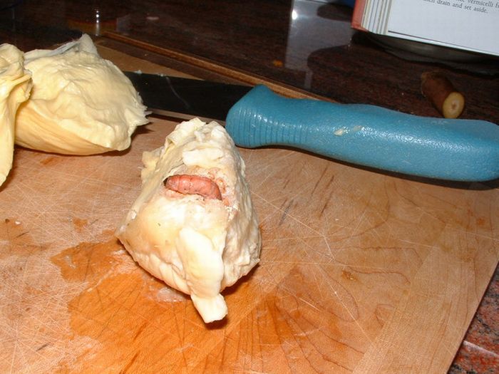 Exotic Animal Inside an Exotic Fruit (4 pics)