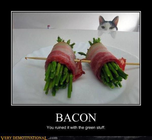Funny Demotivational Posters (76 pics)