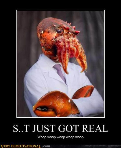 Funny Demotivational Posters (76 pics)