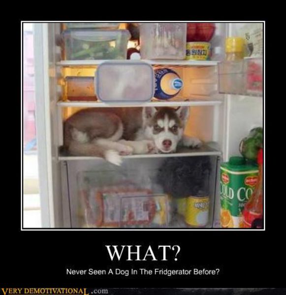Funny Demotivational Posters (76 pics)