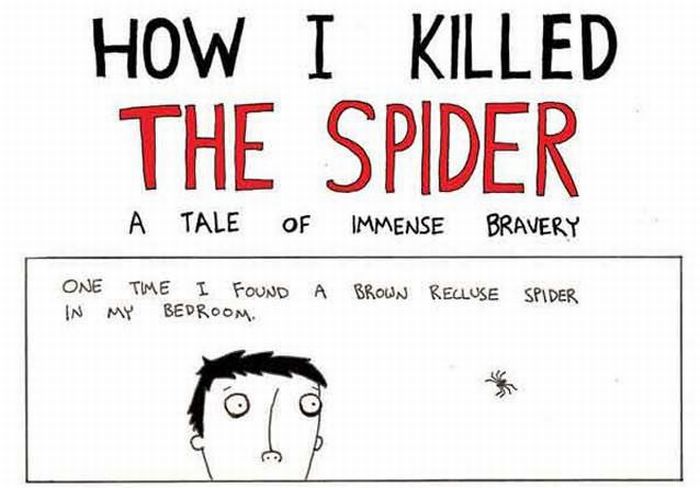 How I Killed the Spider (1 pic)