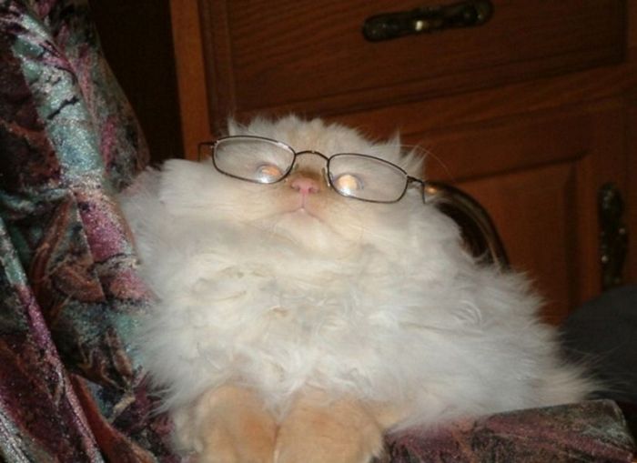 Acid Picdump (77 pics)