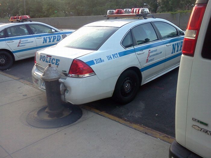 Acid Picdump (77 pics)