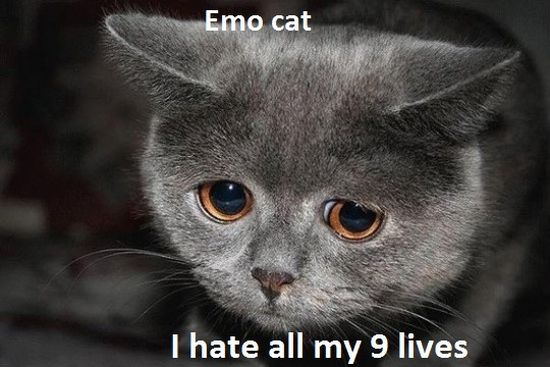 Acid Picdump (77 pics) Acid Picdump (77 pics)