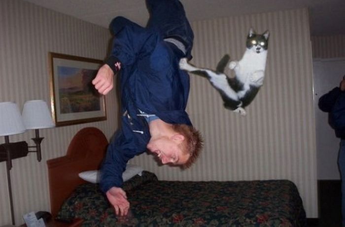 Acid Picdump (77 pics)