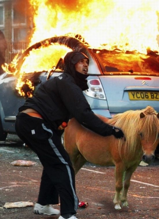 Acid Picdump (77 pics)