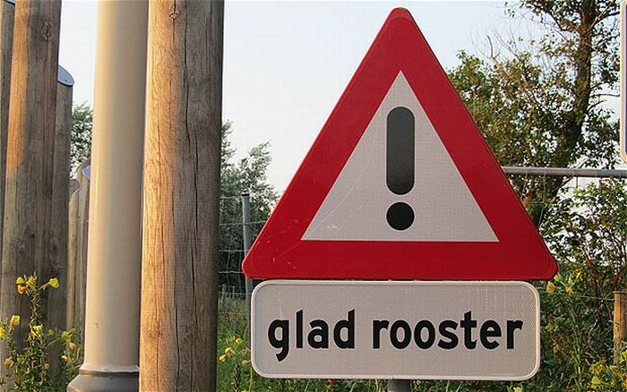 Funny Signs (16 pics)