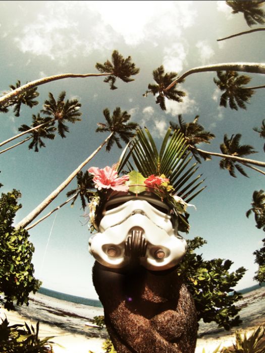 Surfing Trooper (33 pics)
