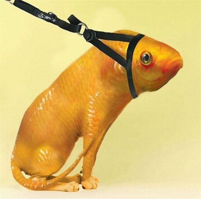 Acid Picdump (94 pics)