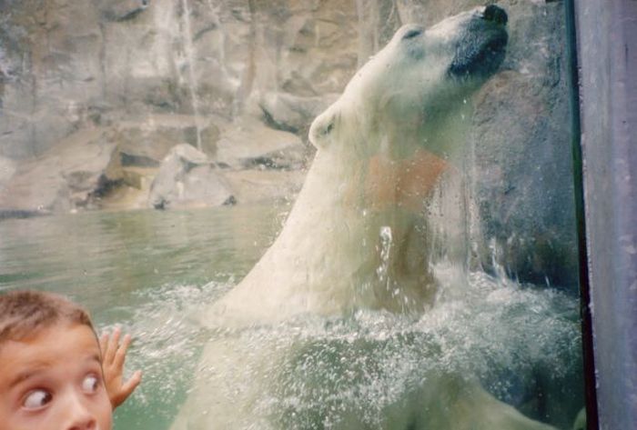 Acid Picdump (94 pics)