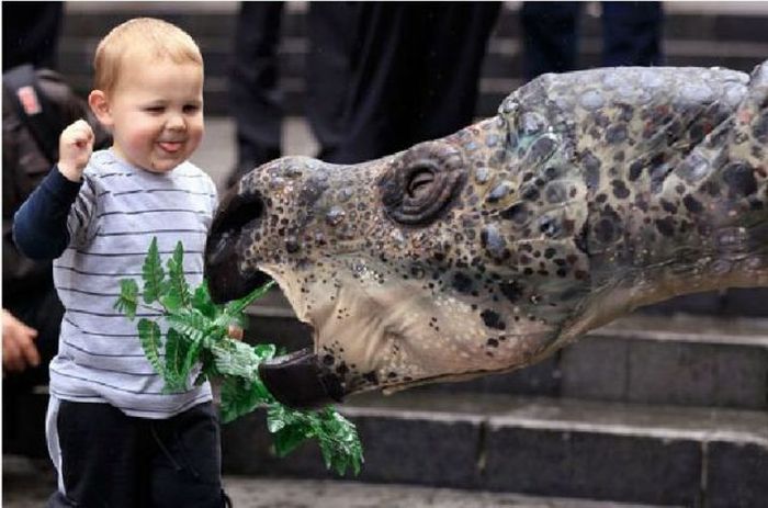 Acid Picdump (94 pics)