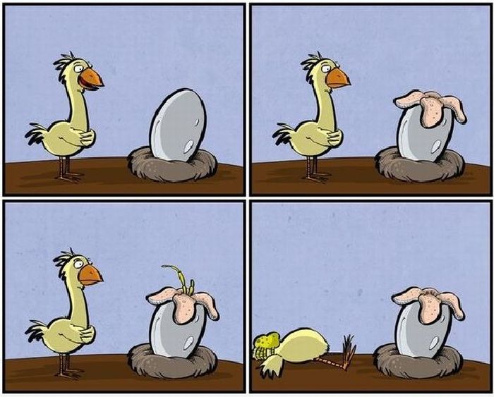 Acid Picdump (94 pics)