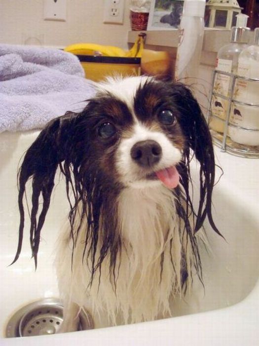 Acid Picdump (94 pics)