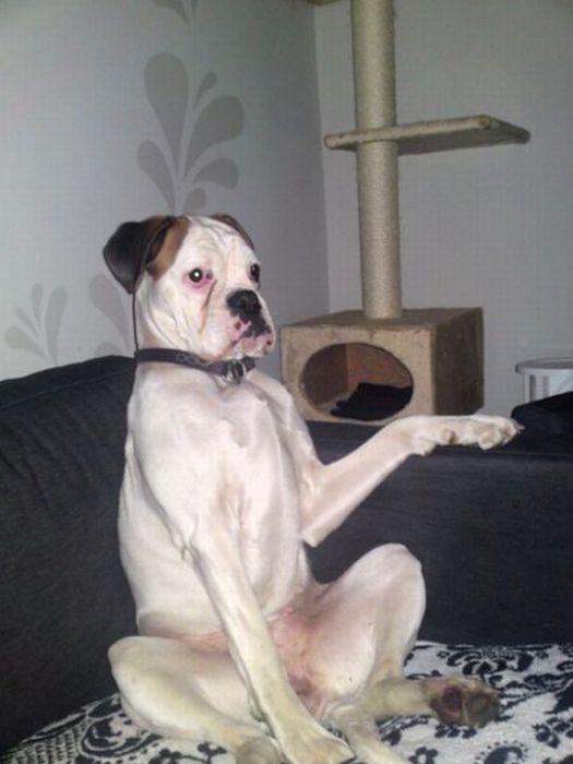 Acid Picdump (94 pics)