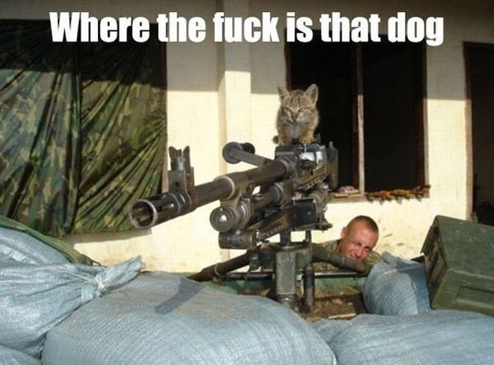 Acid Picdump (94 pics)