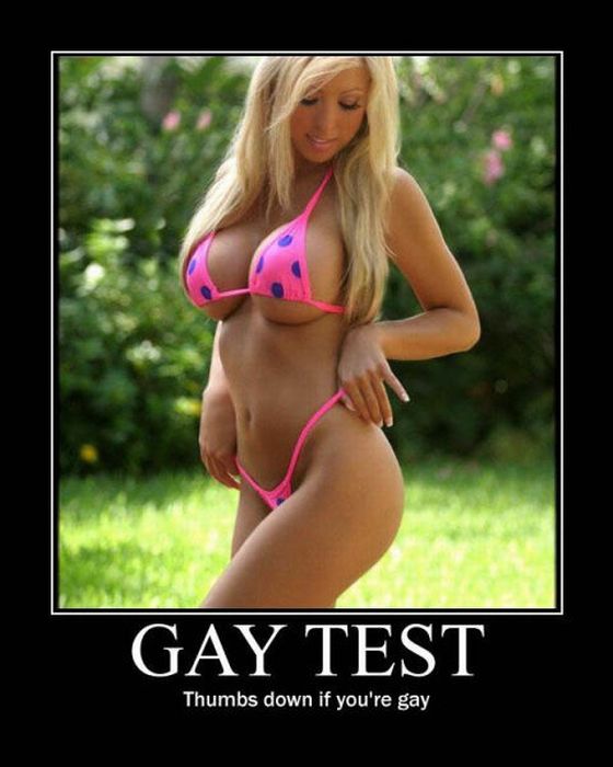 Gay Test Demotivational Posters (49 pics)