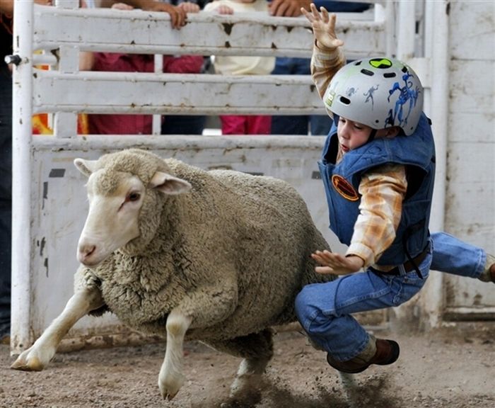 Children Riding Sheep (13 pics)