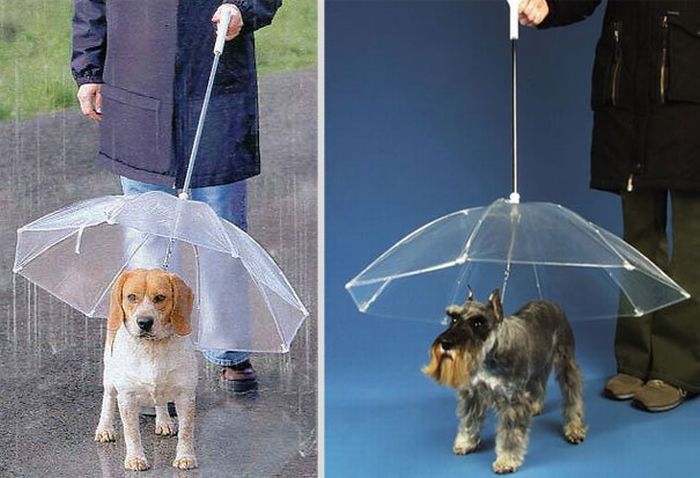 Cool And Creative Umbrellas (29 pics)