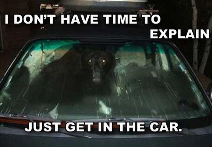 It s hard to explain. No time to explain get in the car. No time to explain Мем. I have no car. Олени Мем no time to explain.