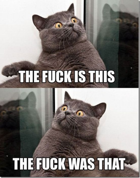 Acid Picdump (83 pics)