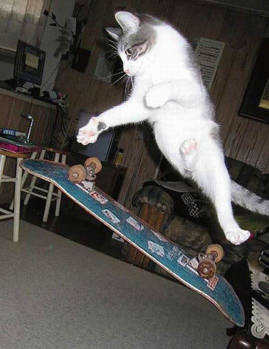 Acid Picdump (83 pics)