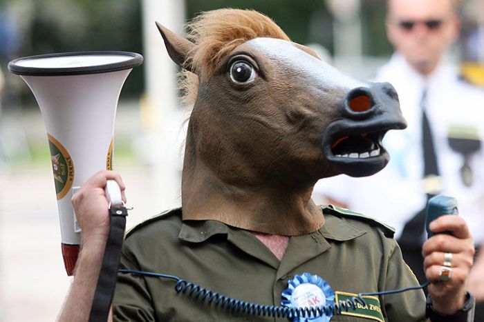 Acid Picdump (83 pics)