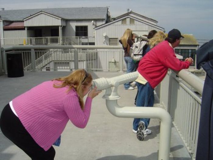 Acid Picdump (83 pics)