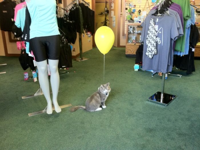 Acid Picdump (83 pics)