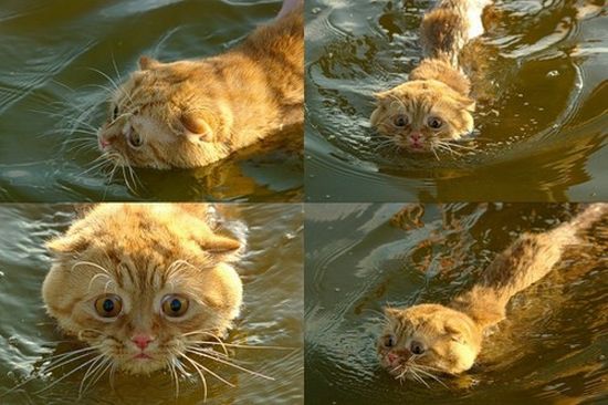 Acid Picdump (83 pics)