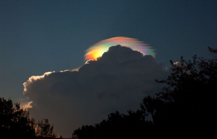 Acid Picdump (83 pics)