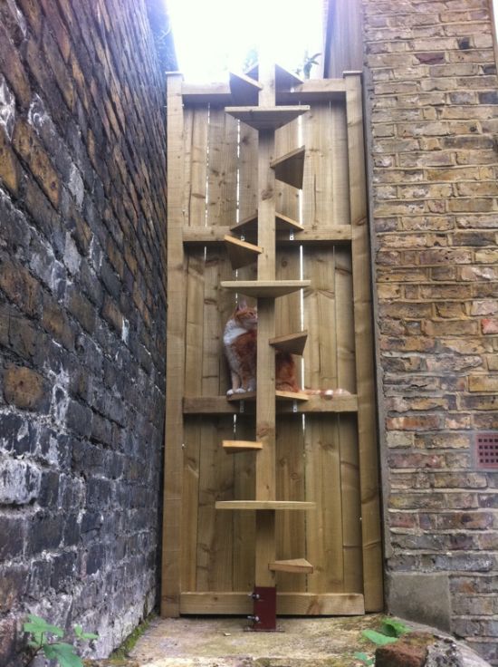 Acid Picdump (83 pics)